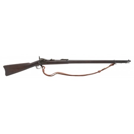 Springfield M1884 Trapdoor rifle .45-70 (AL9943) Conisgnment