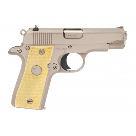 Colt MKIV Series 80 Pistol .380 Acp (C20028)