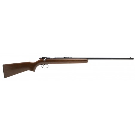 Remington 514 Rifle .22 S,L,LR (R31275)