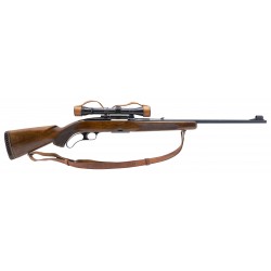 Winchester 88 Rifle .243...