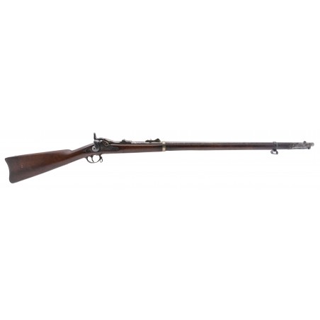Rare U.S. Springfield Model 1880 experimental trapdoor rifle  .45-70 (AL10004)