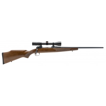 Savage 110 Rifle .30-06 (R42521)