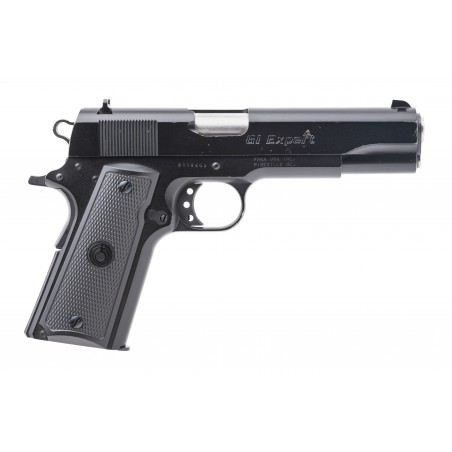 Para GI Expert Pistol .45 Acp (PR69019) Consignment