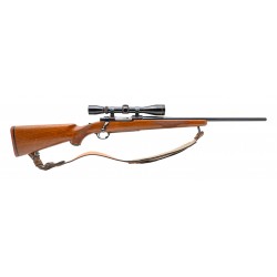 Ruger M77 Rifle .243 Win...