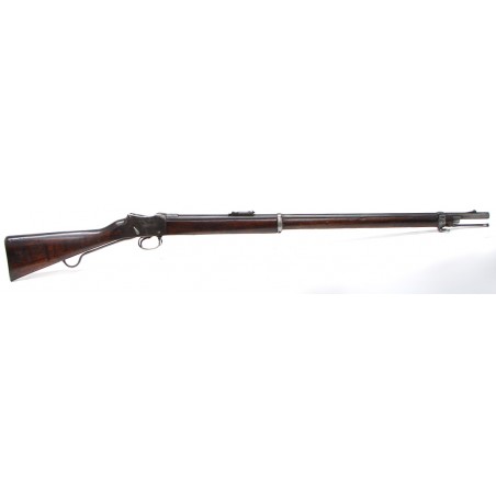 Enfield Martini Action .577-450 caliber rifle. (AL2796)