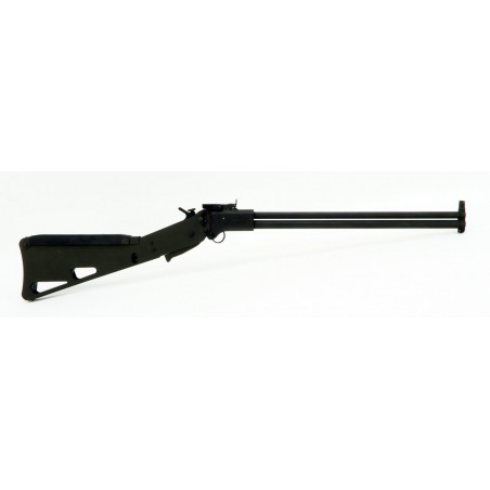 Springfield Armory M6 Survival .22 Magnum/.410 Gauge (R17970)