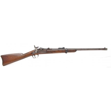 Springfield 1st Model Trapdoor Carbine in Custer Range.  (AL2537)