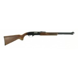 Winchester 270 .22 S, L, LR...