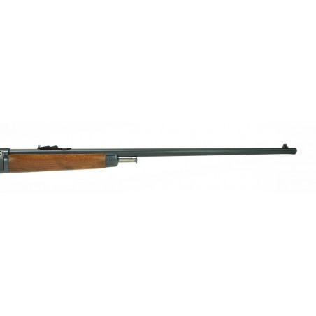 Winchester 63 .22LR (W7501)