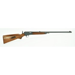 Winchester 63 .22LR (W7504)