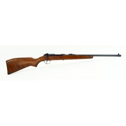 Winchester 121 .22 LR (W7005)