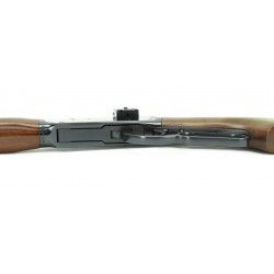 Winchester 64A 30-30 (W7531)