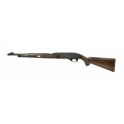 Remington Nylon 66 22LR...