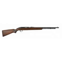 Winchester 77 .22LR (W7490)