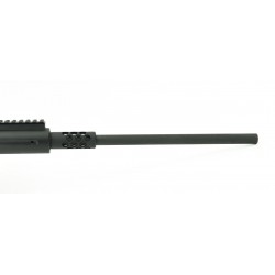 TNW Firearms ASR 10mm...
