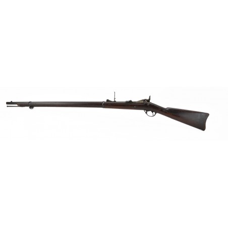 Springfield model 1879 Trapdoor rifle (AL3875)
