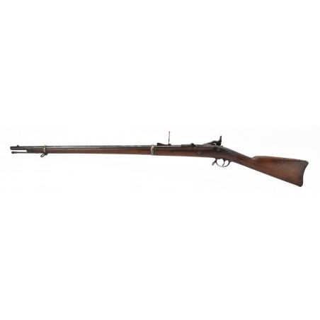 Springfield model 1869 Trapdoor rifle (AL3877)