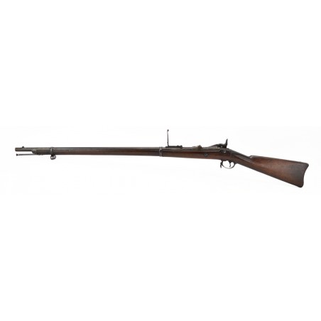 Springfield model 1884 Trapdoor rifle (AL3879)