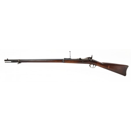 Springfield model 1884 Trapdoor rifle (AL3880)