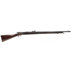 Winchester 3rd Model...