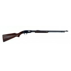 Winchester 61 .22 Magnum...