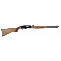 Winchester 290 .22 S,L,LR...