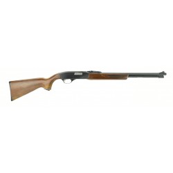 Winchester 275 .22 Magnum...