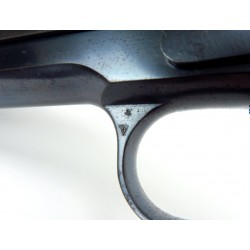 Colt Ace .22 LR (C10523)
