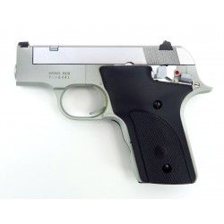 Smith & Wesson 2213 .22 LR...