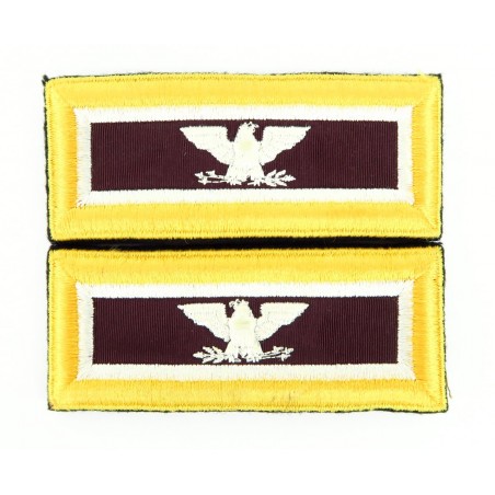 Set of U.S. Army Colonel Shoulder Boards (MM995)