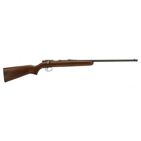 Remington 514 .22 S, L, LR (R20300)
