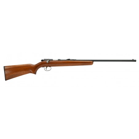 Remington 514 .22 S, L, LR (R20302)