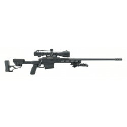 Remington 700 Tactical .300...