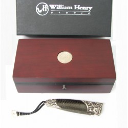 William Henry B30-Amplifier...