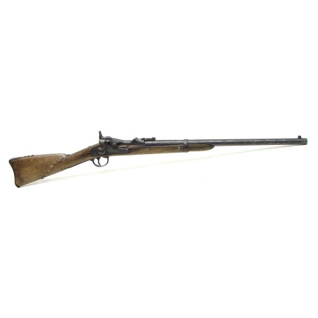 Springfield 1870 Carbine (AL3224)