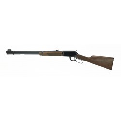 Winchester 9417 .17 HMR...
