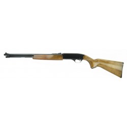 Winchester 275 .22 Magnum...