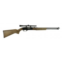  Winchester 190 22L,LR...