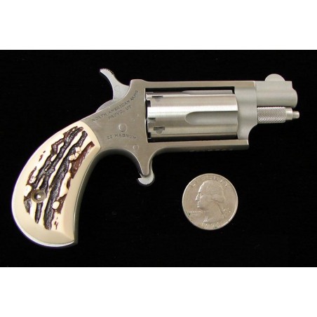 North American Arms Mini Revolver .22 WMR  (PR19743)