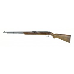 Winchester 77 .22 LR (W10059)