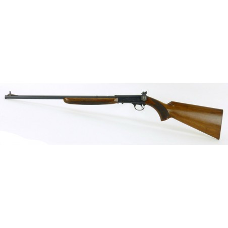 Browning Automatic 22 .22 LR (R17347)