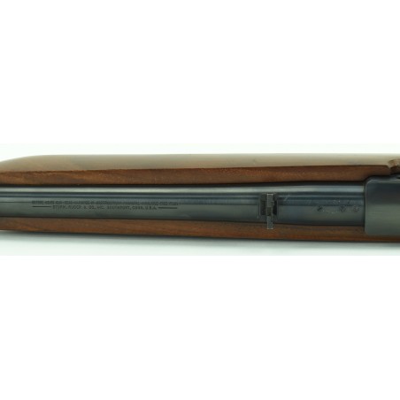 Ruger Carbine .44 Mag caliber rifle (R20626)