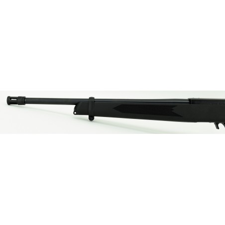 Ruger 10/22 .22LR caliber rifle (nR20660)