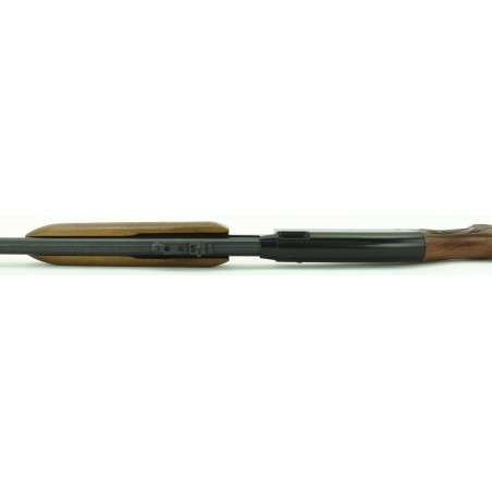 Remington 572 .22 S, L, LR action caliber rifle (R20638)