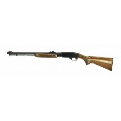 Remington 572 .22 SLLR...