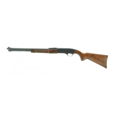 Winchester 270 .22 S,L,LR (W7969)
