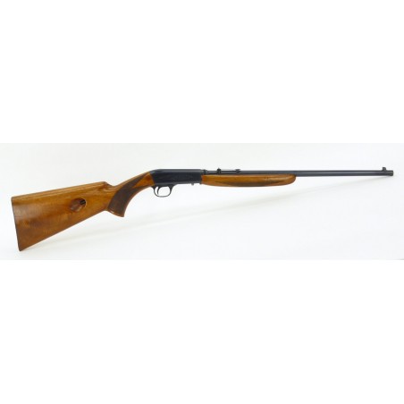 Browning Automatic 22 .22 LR (R17000)