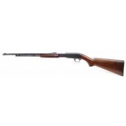 Winchester 61 .22 LR (W5541 )