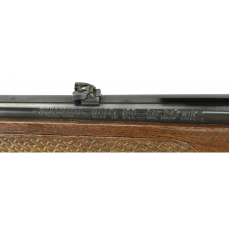 Winchester Model 100 .243 Winchester (W8015)