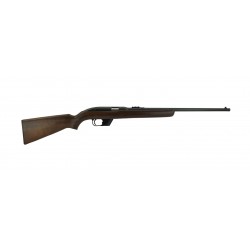 Winchester Model 77 .22LR...